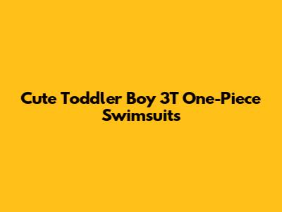 Cute Toddler Boy 3T One-Piece Swimsuits