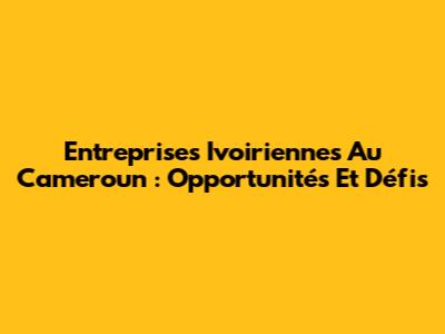 Entreprises Ivoiriennes Au Cameroun : Opportunités Et Défis