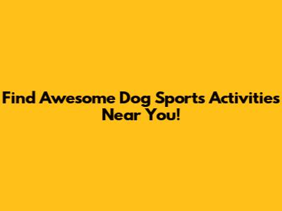 Find Awesome Dog Sports Activities Near You!