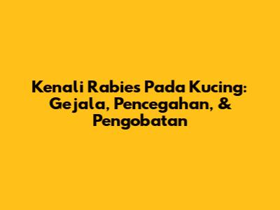 Kenali Rabies Pada Kucing: Gejala, Pencegahan, & Pengobatan