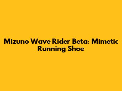 Mizuno Wave Rider Beta: Mimetic Running Shoe