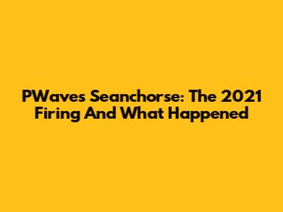 PWave's Seanchorse: The 2021 Firing And What Happened