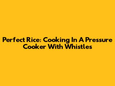 Perfect Rice: Cooking In A Pressure Cooker With Whistles