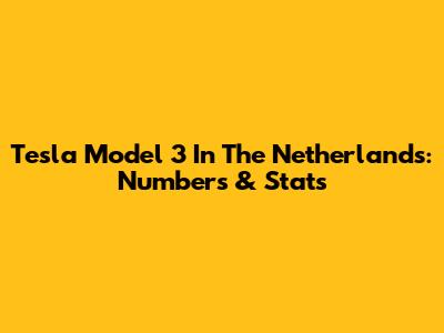 Tesla Model 3 In The Netherlands: Numbers & Stats